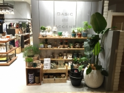 BASIC & ACCENT広島パルコ店の求人画像